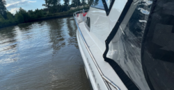 Custon 29 Special (2015)