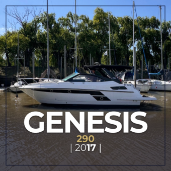 Genesis 290 (2017)