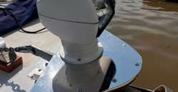 Regnicoli Marea 630 (2019)