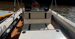 Regnicoli Marea 630 (2019)