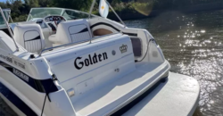 Quicksilver 268 (2014)