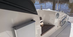Genesis 350 (2019)
