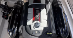 Canestrari 245 (2020)