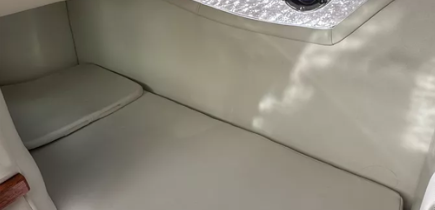 Canestrari 245 (2020)