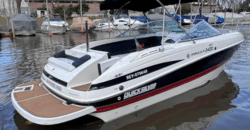 Quicksilver 2400 (2015)