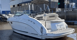 Chaparral 275 Americana (2010)