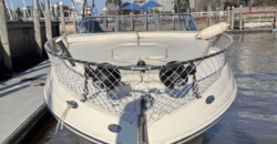 Chaparral 275 Americana (2010)