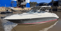Canestrari 245 (2015)