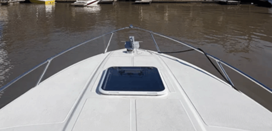 Canestrari 245 (2015)