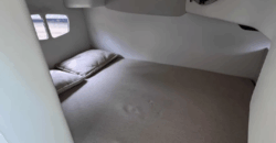 Quest 25 (2015)